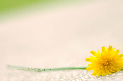 吃完大虾多久能吃芒果-吃完虾能吃芒果吗会中毒吗