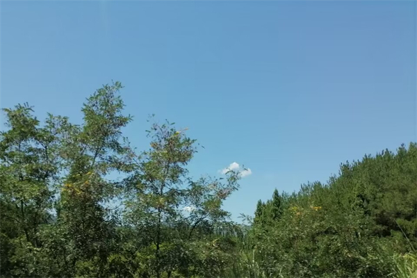 石板印刷属于什么印刷