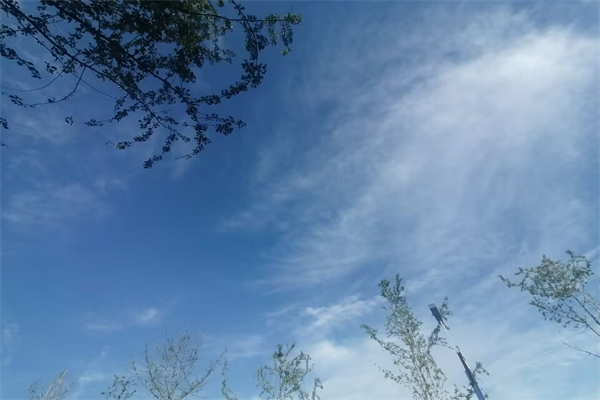 哈蜜瓜苦了还可以吃吗-哈蜜瓜有点苦味能吃吗
