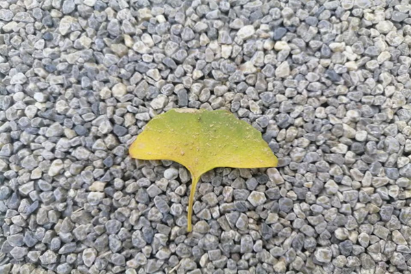 发胶可以带上地铁吗-发胶能带进地铁吗