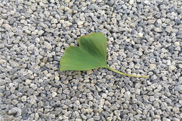 福建省有几个市-广东省有几个市