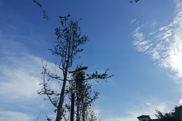 挂烫机怎么清理水垢