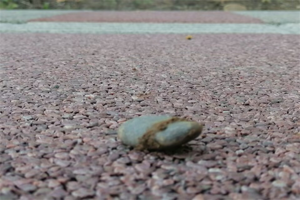 木头受潮发霉有毒吗