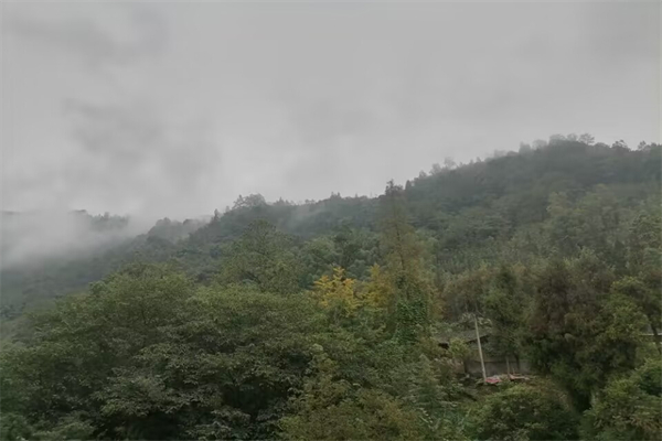西瓜和蜂蜜能一起吃吗-蜂蜜和西瓜汁一起喝有什么坏处