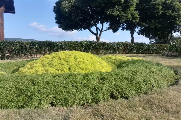 hiit注意事项